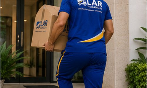lar-mudancas-funcionario-carregando-caixa