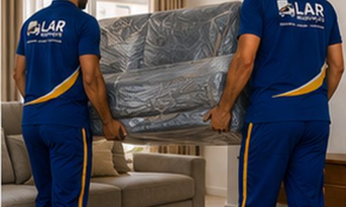 lar-mudancas-funcionarios-carregando-sofa